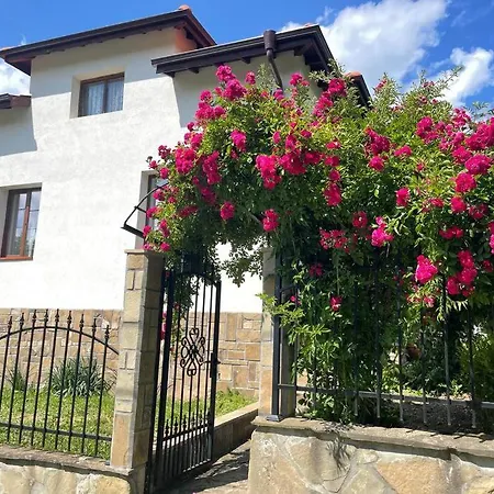 Guest House “Anchetata” *