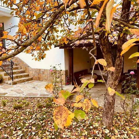 Guest House “Anchetata” *