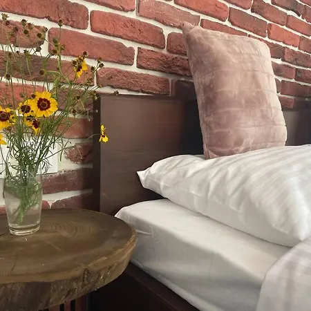 Vakantiehuis Guest House “Anchetata”