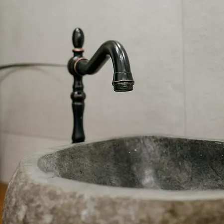 Vakantiehuis Guest House “Anchetata” *