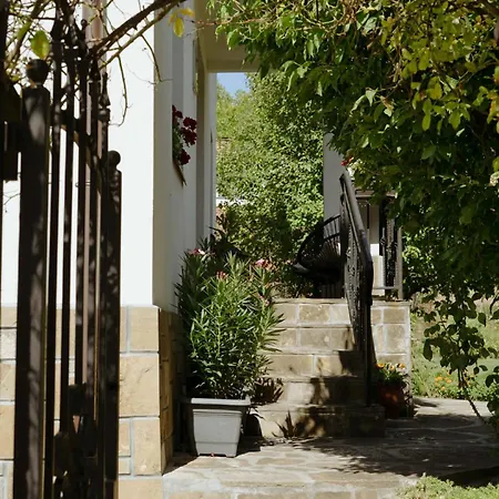 Vakantiehuis Guest House “Anchetata”