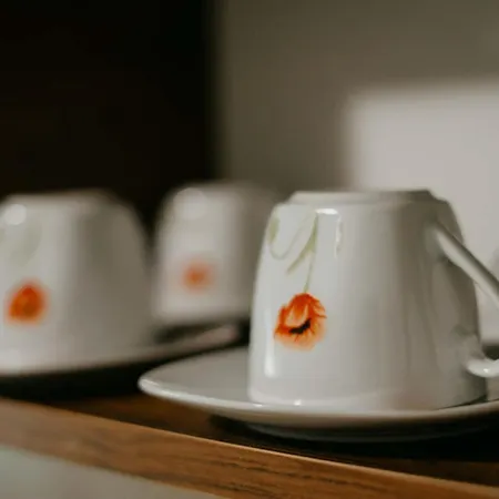 Guest House “Anchetata” Vakantiehuis