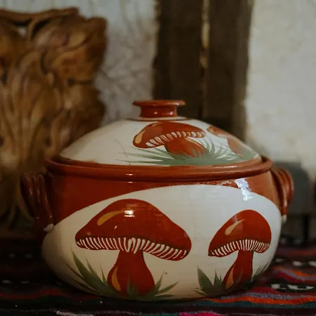 Ваканционна къща Guest House “Anchetata” *