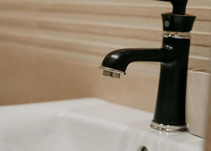 Guest House “Anchetata” Apriltsi (Lovech)